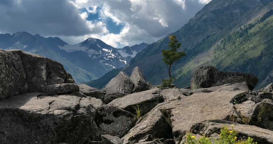 Фото жизнь