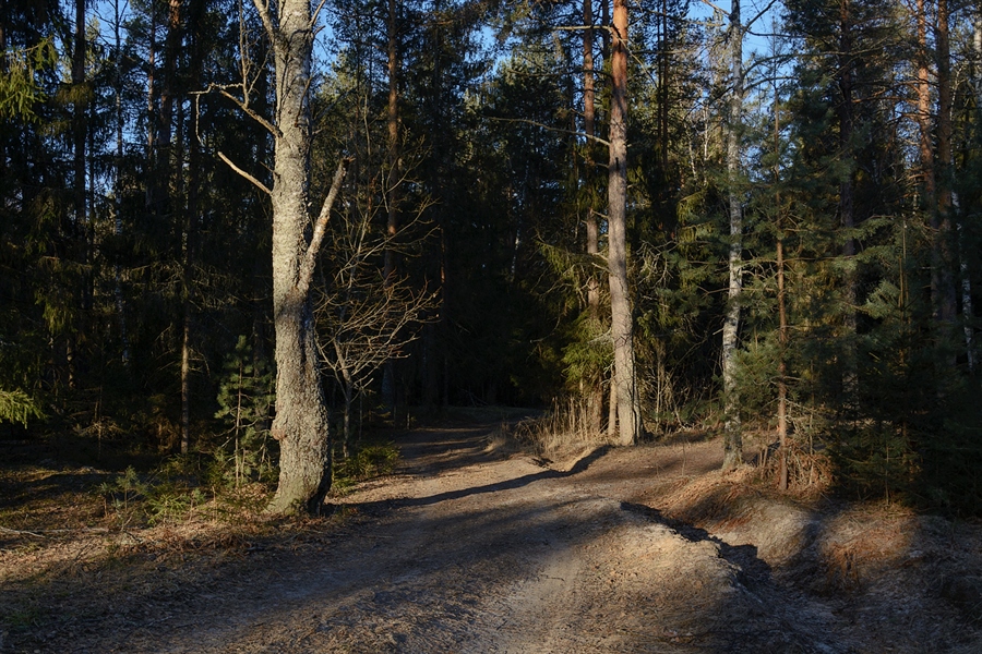 Фото жизнь