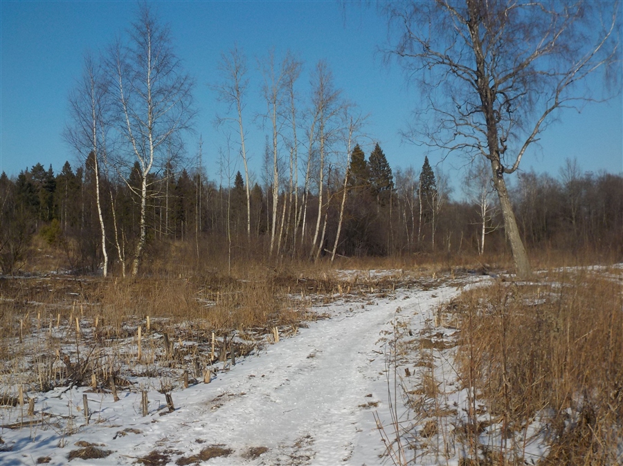 Фото жизнь