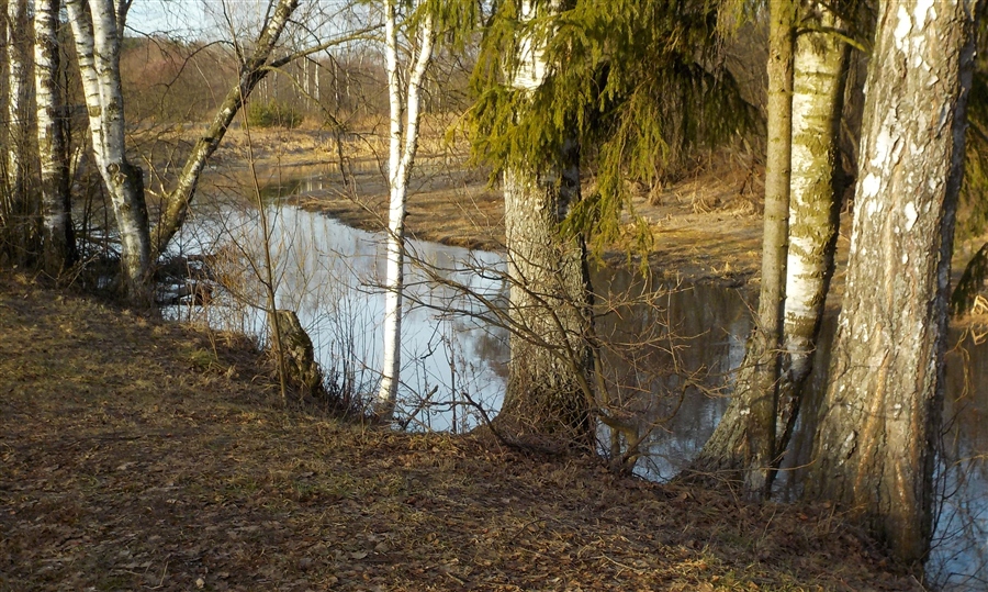 Фото жизнь