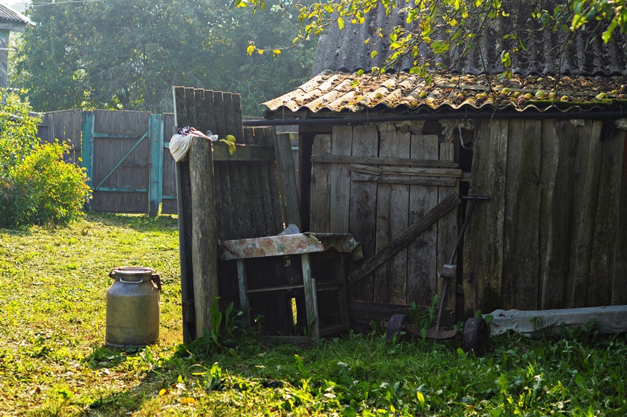 Фото жизнь