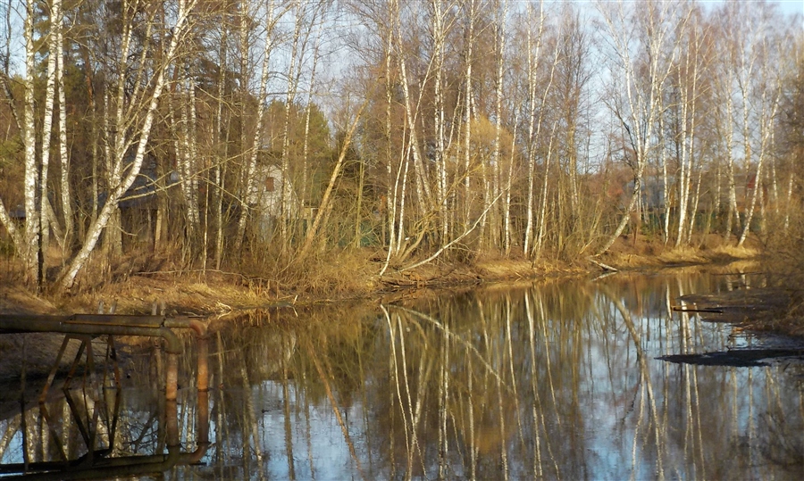 Фото жизнь
