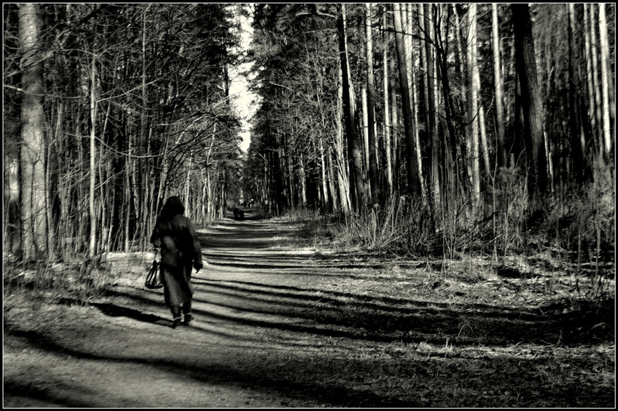 Фото жизнь