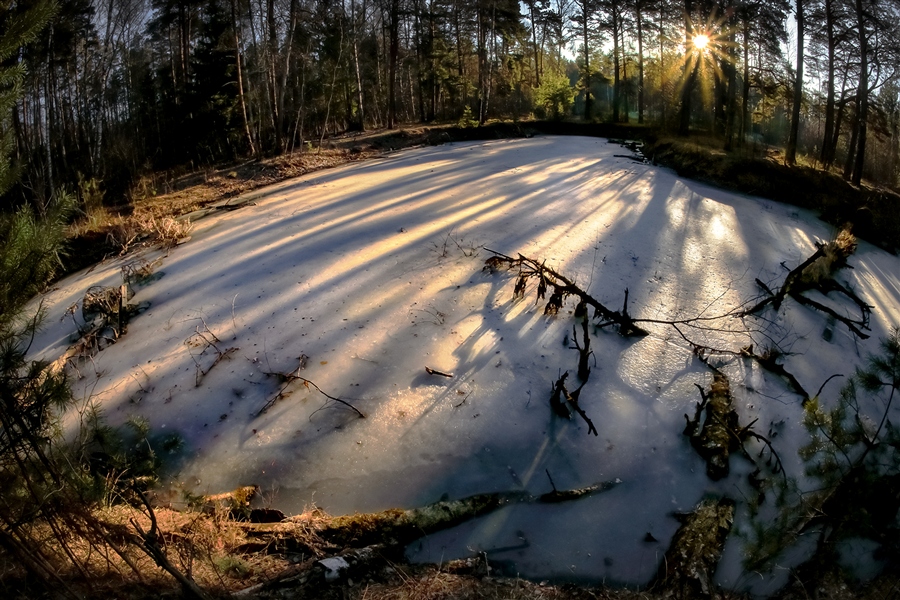 Фото жизнь