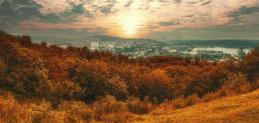 Фото жизнь