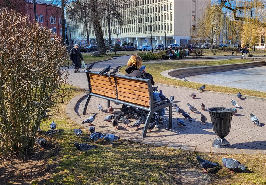 Фото жизнь