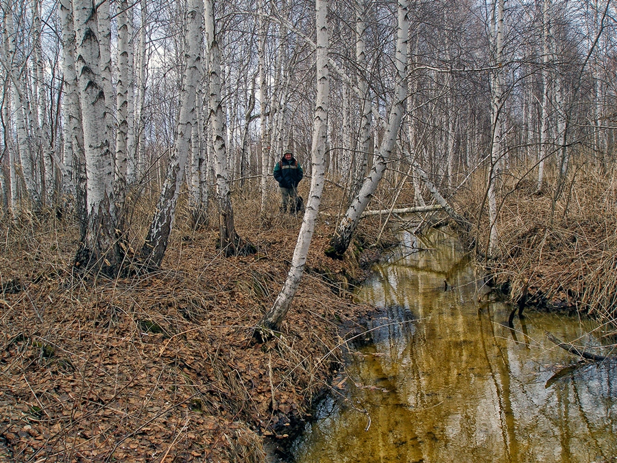 Фото жизнь