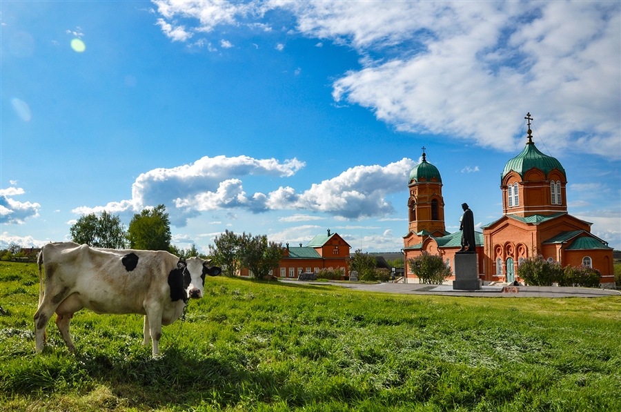 Фото жизнь