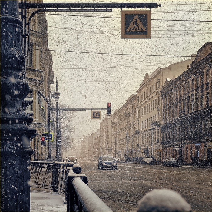 Фото жизнь