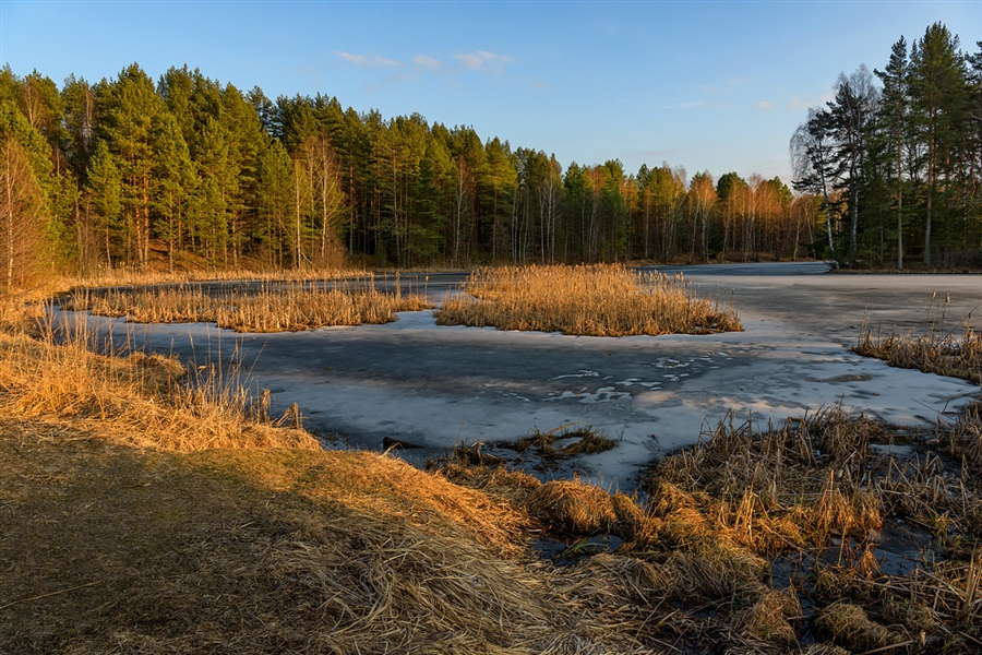 Фото жизнь