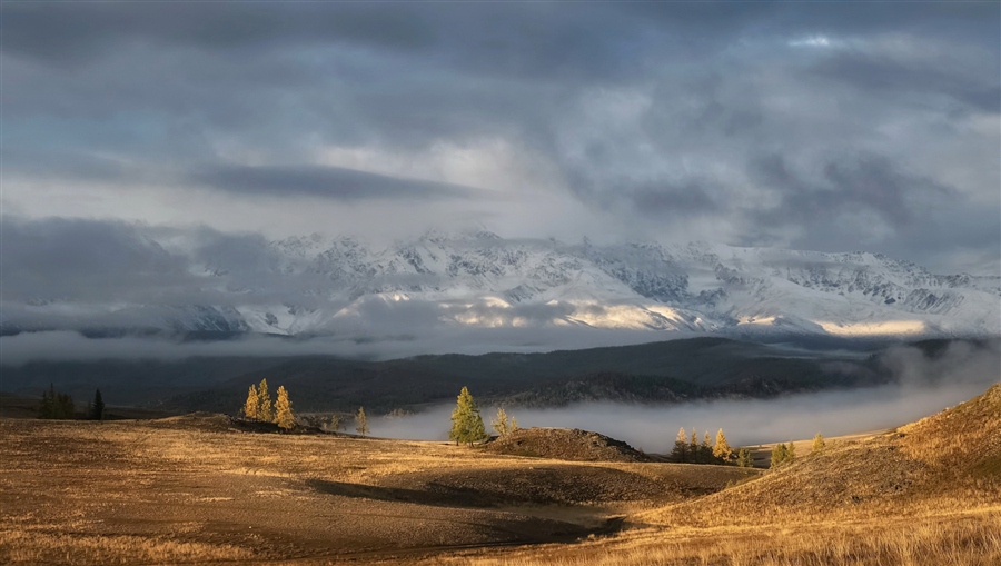 Фото жизнь