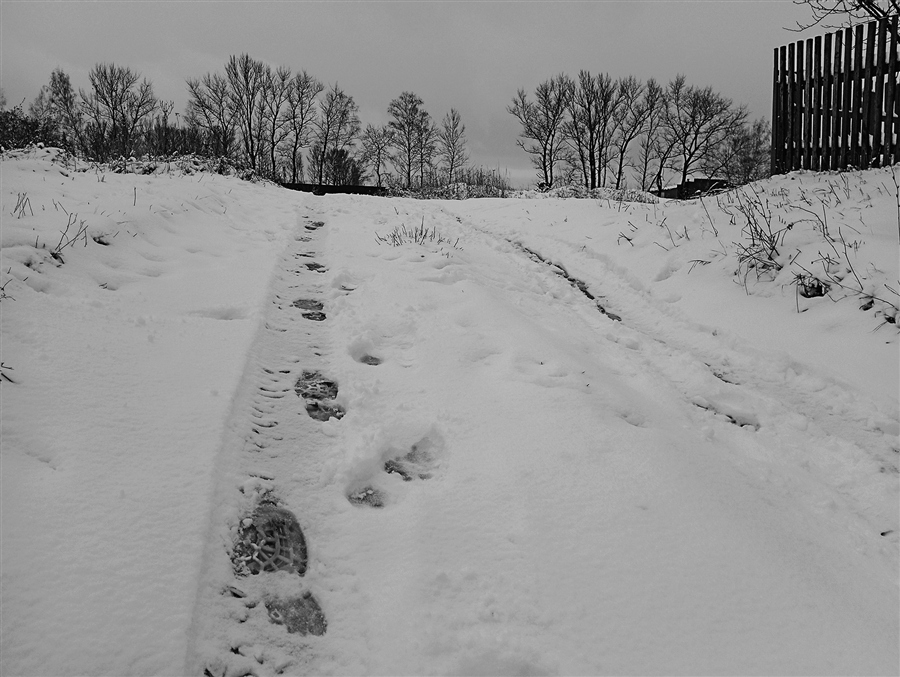 Фото жизнь