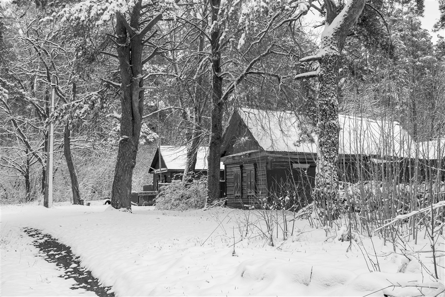 Фото жизнь