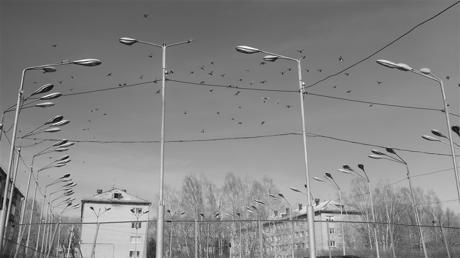 Фото жизнь