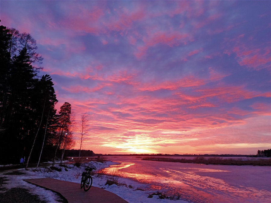 Фото жизнь