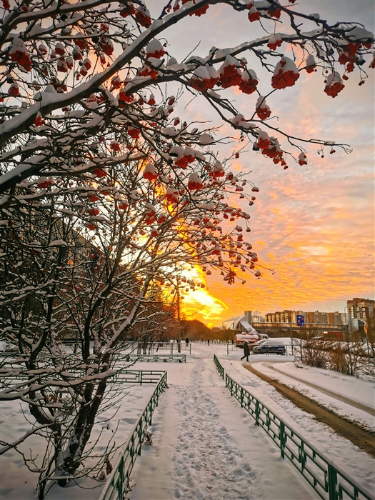 Фото жизнь