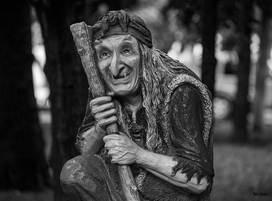 Фото жизнь