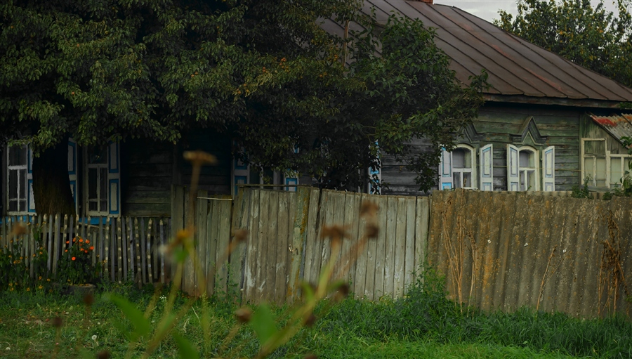 Фото жизнь