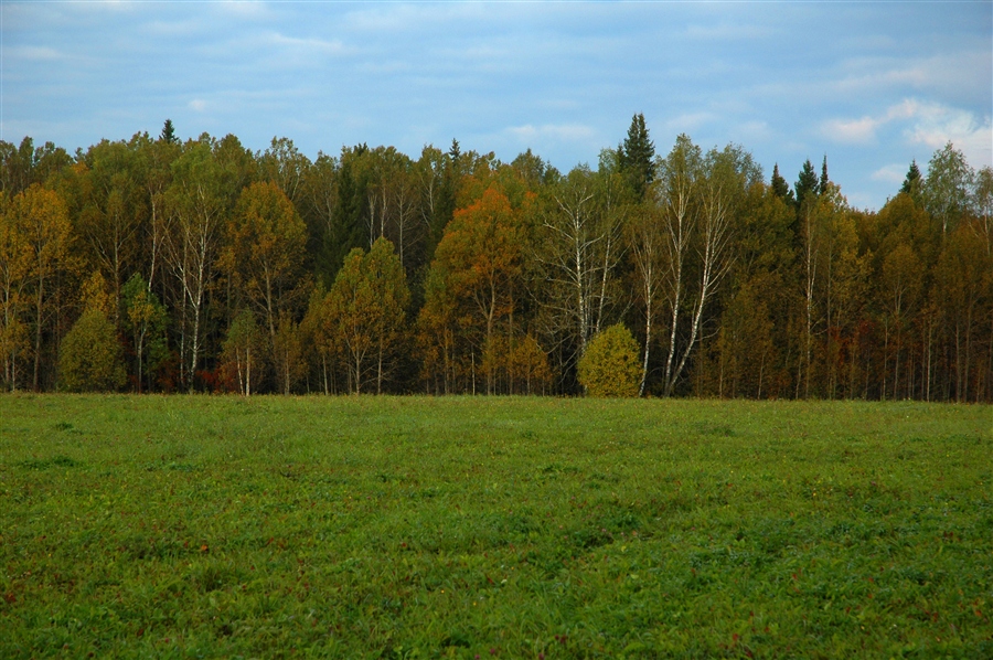 Фото жизнь