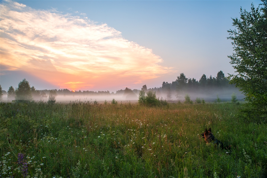 Фото жизнь