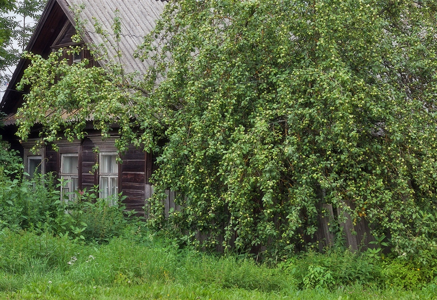 Фото жизнь