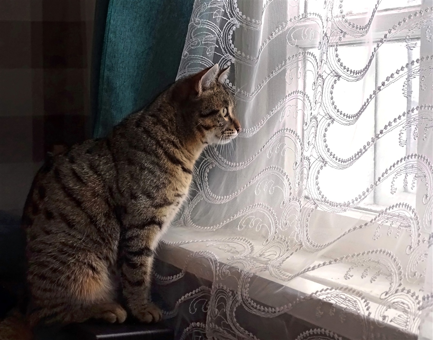Фото жизнь