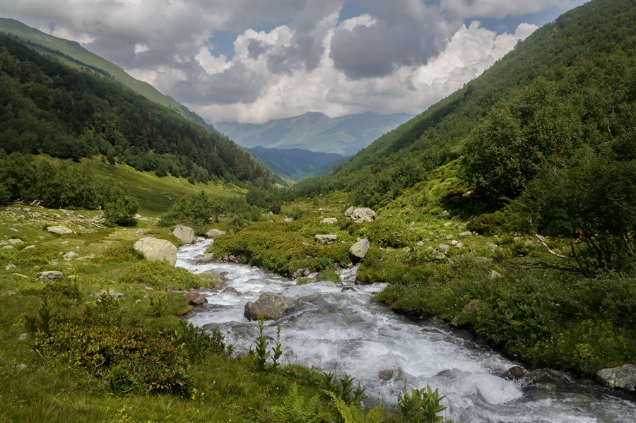 Фото жизнь