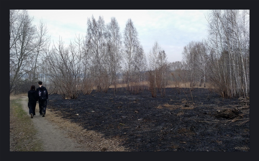 Фото жизнь