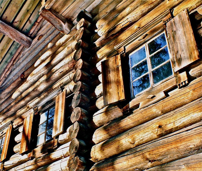 Фото жизнь