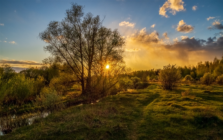 Фото жизнь