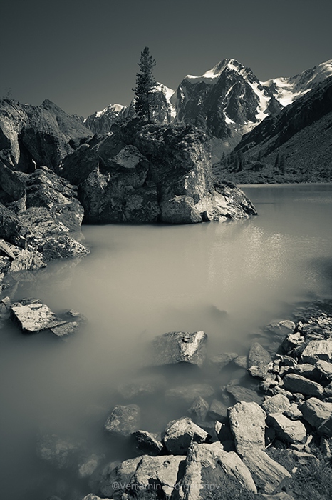 Фото жизнь