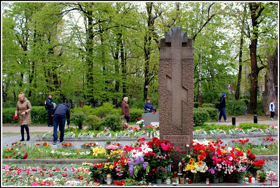 Фото жизнь