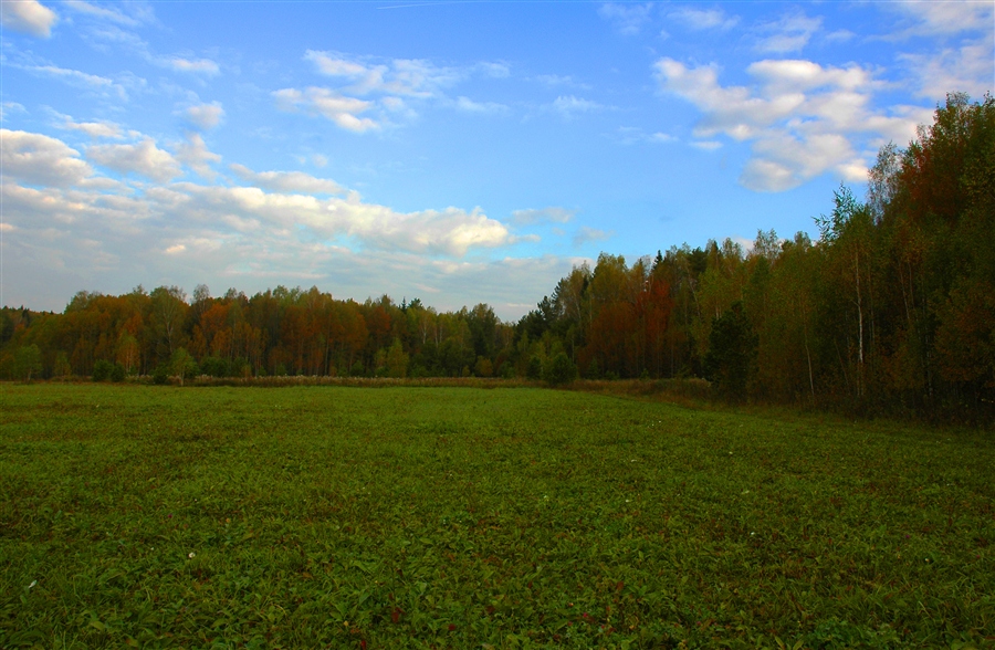 Фото жизнь