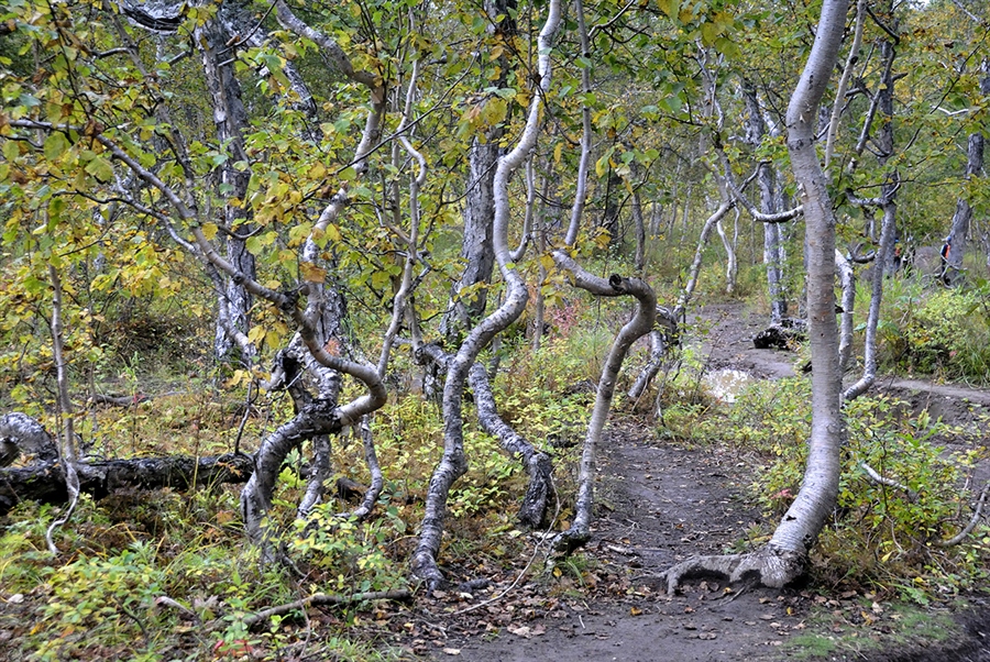 Фото жизнь