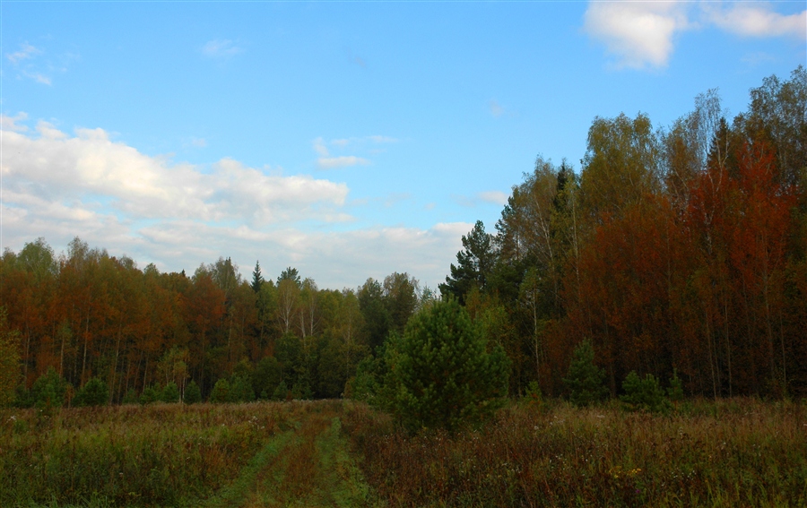 Фото жизнь
