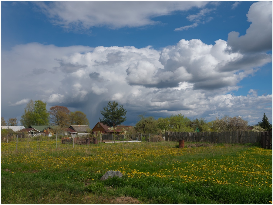 Фото жизнь