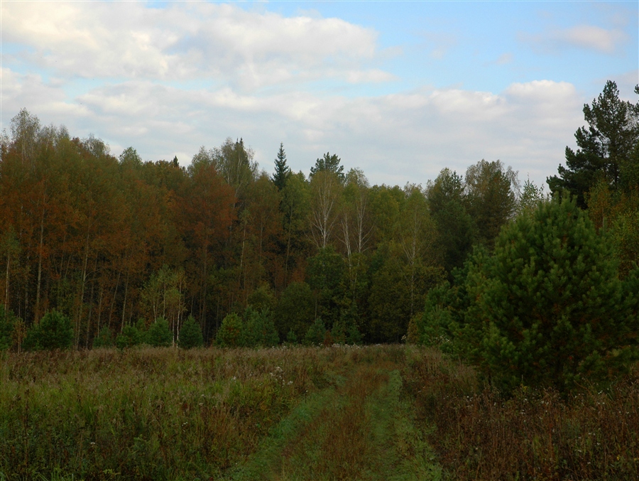 Фото жизнь