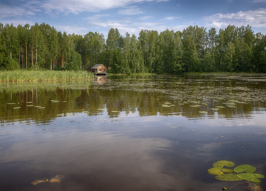 Фото жизнь