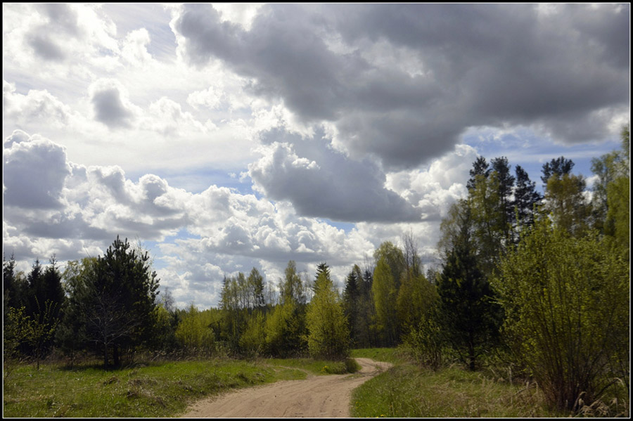 Фото жизнь