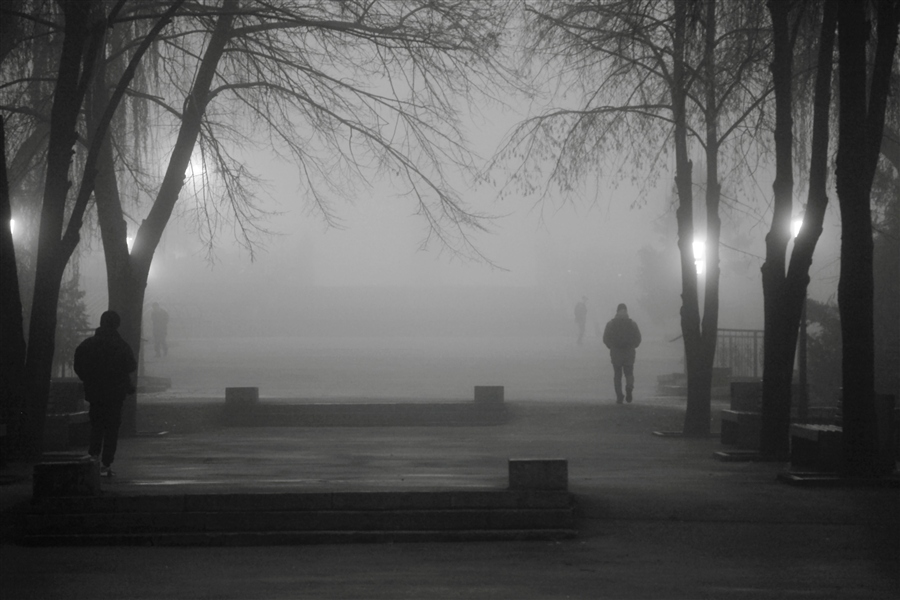 Фото жизнь