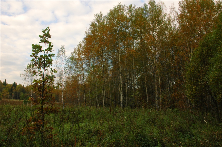 Фото жизнь