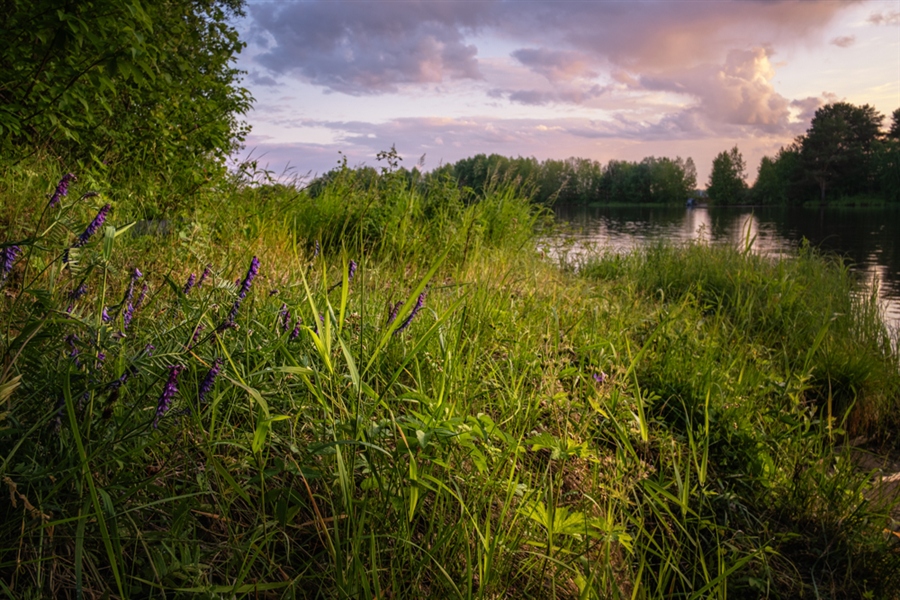 Фото жизнь