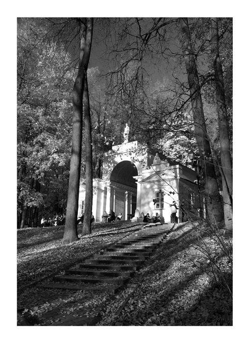 Фото жизнь