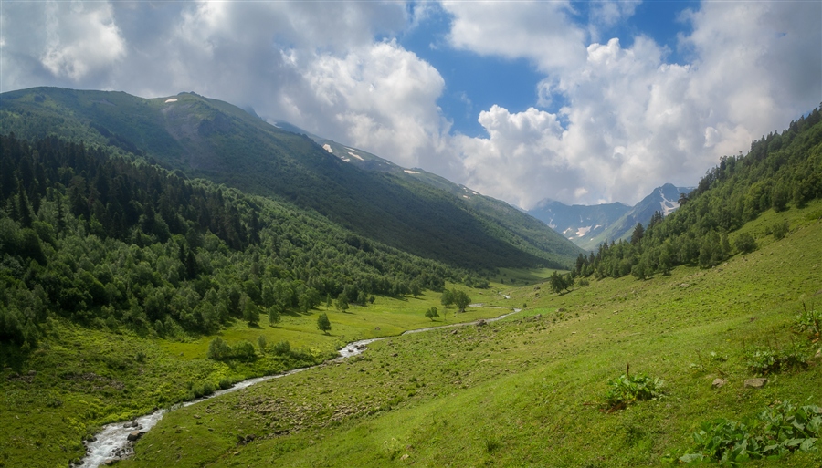 Фото жизнь