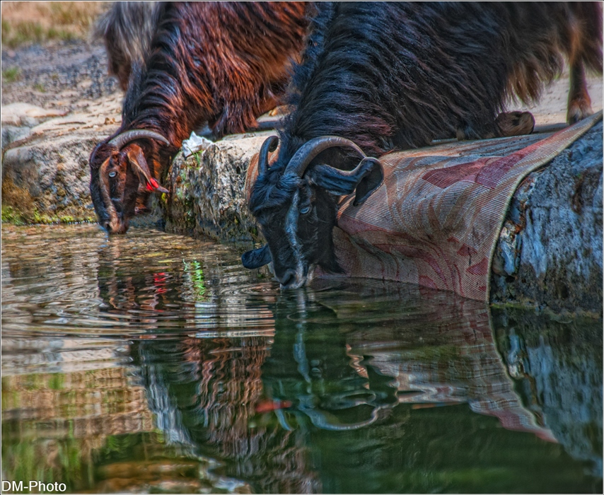 Фото жизнь