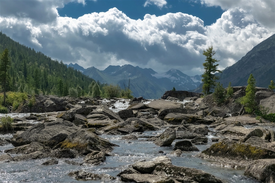 Фото жизнь