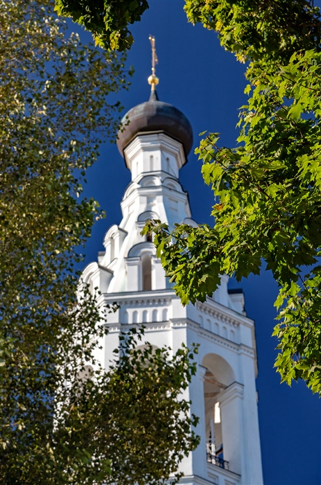Фото жизнь