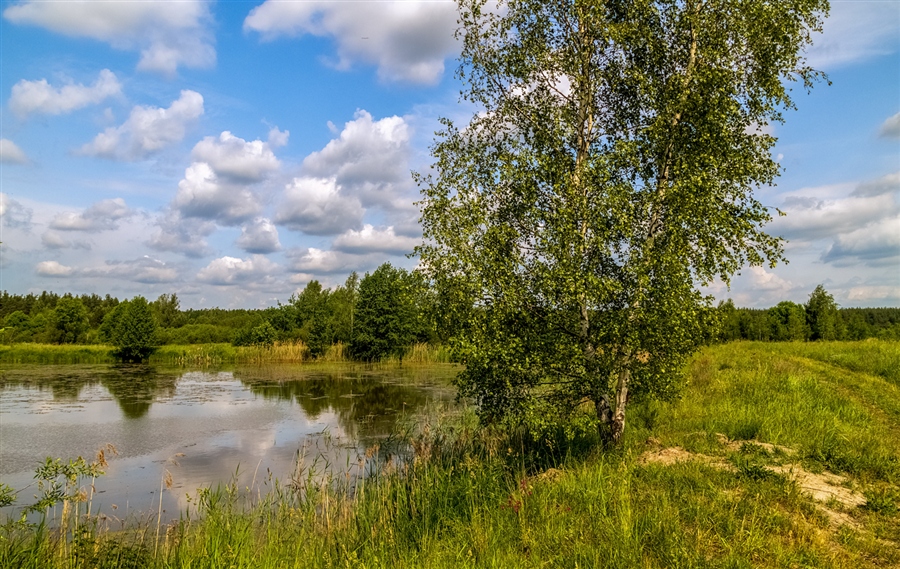 Фото жизнь