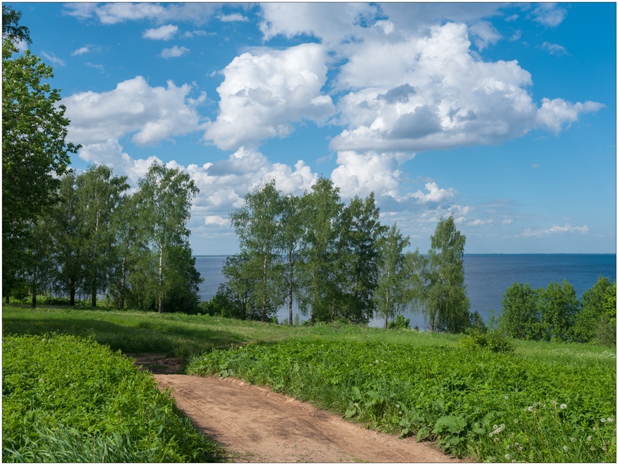Фото жизнь