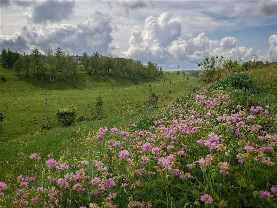 Фото жизнь